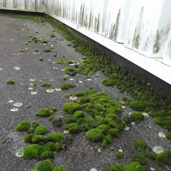 toiture plate abimee 92